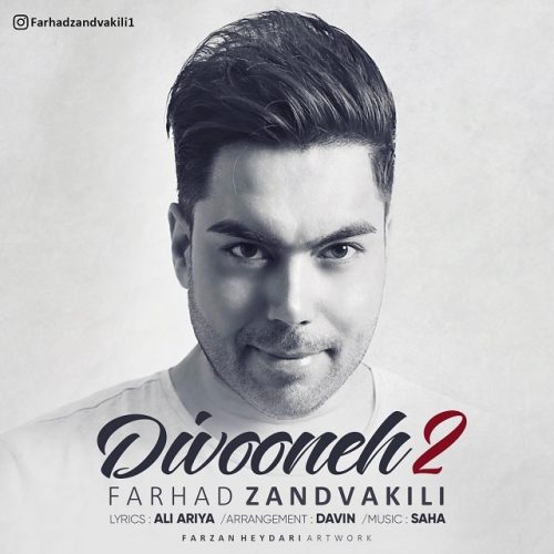 Farhad Zandvakili – Divooneh 2